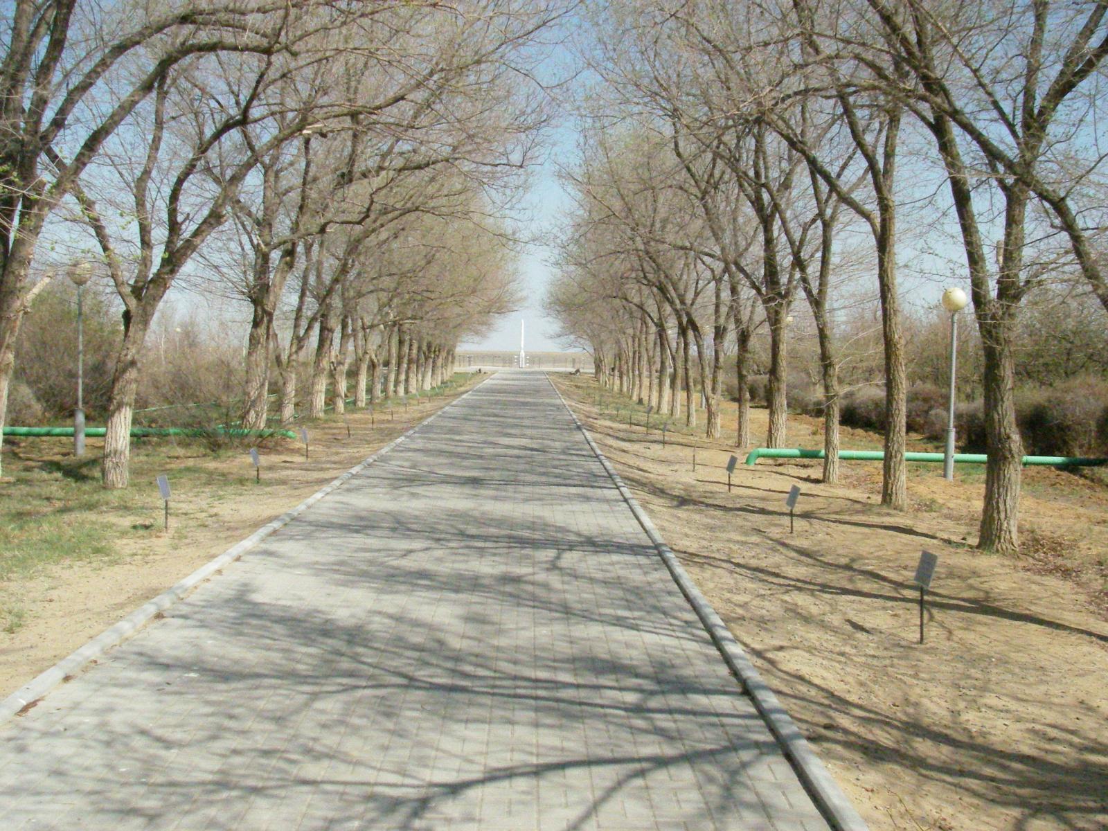 IMGP9458.JPG