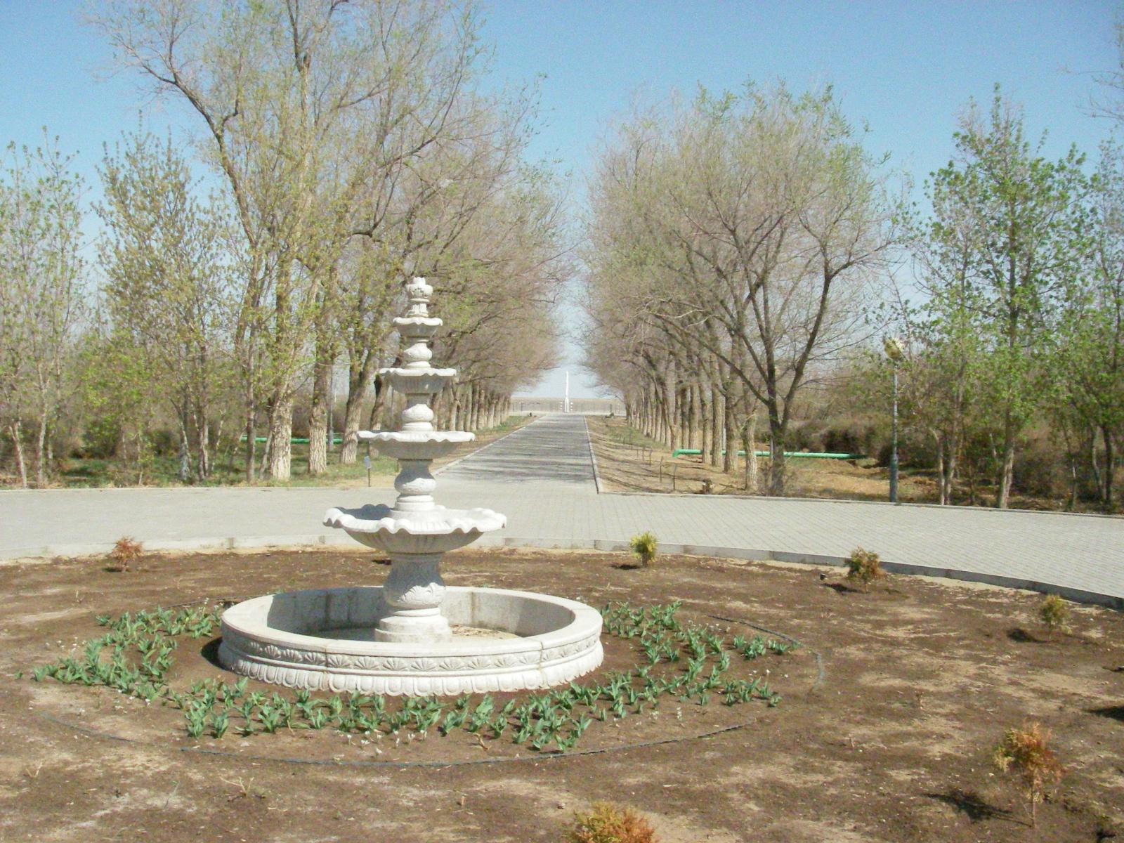 IMGP9457.JPG
